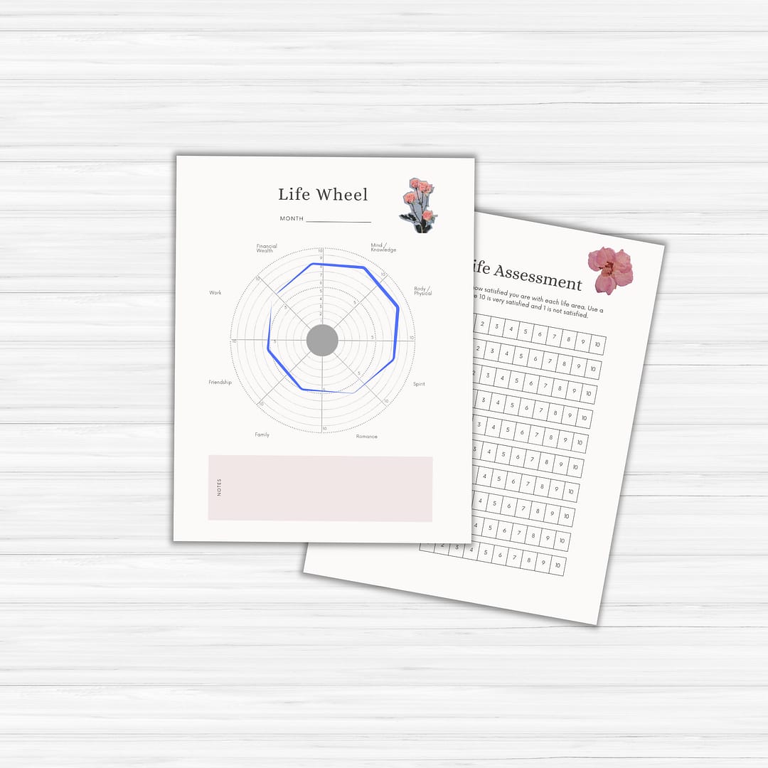 On a white surface, two sheets are displayed from the Vision Board Bundle: one features a life wheel chart with labeled sections, and the other presents a life assessment grid decorated with squares and floral designs. Together, they form an inspiring mini vision board to map your journey.